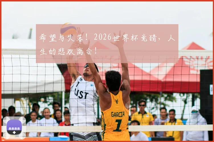 希望与失落!2026世界杯竞猜,人生的悲欢离合!