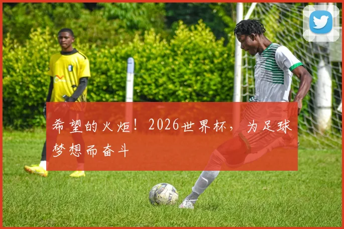 希望的火炬!2026世界杯,为足球梦想而奋斗